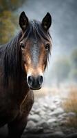 Horse stands majestically in a tranquil natural setting during early morning light photo