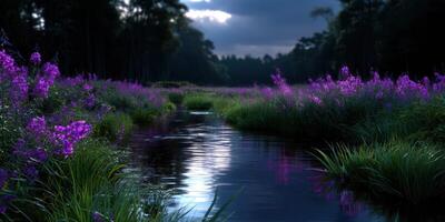 Evening light reflects on tranquil stream surrounded by vibrant purple flowers in serene wilderness photo