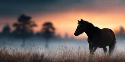 Silhouette of a horse standing in a misty meadow at sunrise with soft hues in the sky photo