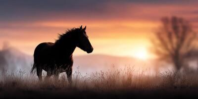 Majestic horse stands silhouetted against a vibrant sunset in a tranquil open field photo
