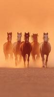 Horses gallop through dusty desert at sunset creating a stunning silhouette against the warm orange sky photo