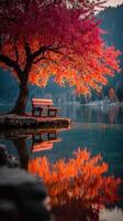 Serene autumn lakeside view with vibrant red tree and wooden bench at sunrise photo