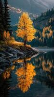 Majestic autumn scene with golden tree reflecting in tranquil lake surrounded by mountains photo