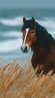 Majestic horse standing among tall grass with ocean waves in the background on a cloudy day photo