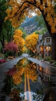 Autumn colors reflect on a quiet street after rainfall in a picturesque neighborhood surrounded by mountains photo