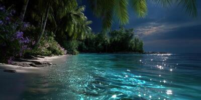 Serene tropical beach at night with shimmering water and lush palm trees under a moonlit sky photo