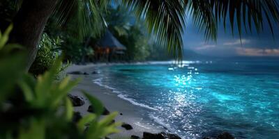 Serene night at a tropical beach with glowing waters and palm trees under a starry sky photo