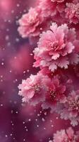 Beautiful pink flowers covered in frost during a winter afternoon, creating a magical and serene atmosphere photo