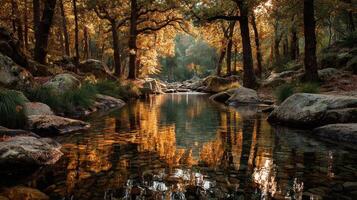 Golden autumn light reflects on a tranquil river surrounded by colorful foliage in a serene forest setting photo