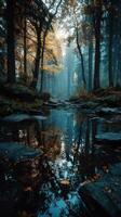 Serene forest landscape with autumn colors and tranquil water reflections in early morning mist photo
