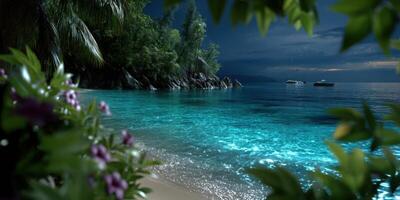 Tropical beach at night with glowing water and distant boats under a starry sky photo