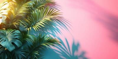 Vibrant tropical leaves casting shadows on a colorful wall during bright daylight photo