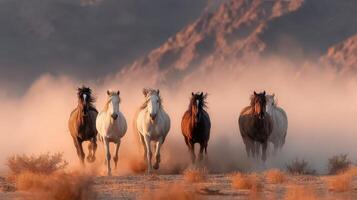 Majestic wild horses run across dusty desert landscape at sunset, showcasing their beauty and grace photo