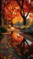 Autumn pathway lined with vibrant orange trees reflecting in a calm puddle at sunset photo