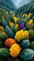 Vibrant autumn forest showcasing a mix of colorful foliage in a serene mountainous landscape photo