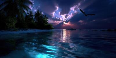 Serene twilight over a tropical beach with palm trees and a reflection on calm water photo