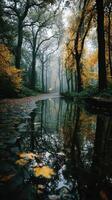 Foggy autumn morning with reflections in a peaceful forest pond near a tree-lined path photo