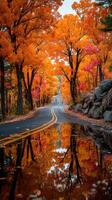 Autumn road surrounded by vibrant orange foliage reflecting in water below photo