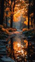 Autumn foliage reflects in serene waterway at dawn in tranquil forest photo