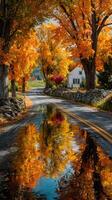 Vibrant autumn colors reflect on a winding road through a serene landscape in a rural setting during early morning photo