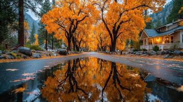 Fall foliage reflects on a wet road lined with orange trees in a serene mountain town photo