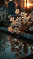 Flowers bloom beside a tranquil reflection at sunset in a peaceful cemetery setting photo