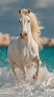 Majestic white horse running through turquoise ocean waves under a bright sky photo