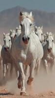 White horses galloping through dusty terrain in a dramatic display of freedom during the day photo