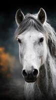 Majestic white horse gazing directly at the viewer in a dramatic setting with blurred colors in the background photo