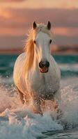 Majestic white horse running through foamy waves at sunset on a tranquil beach photo