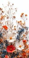 Colorful dried flowers arranged artistically on a neutral background showcasing a blend of textures and hues photo