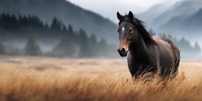 Majestic horse stands in golden grasslands with mountains in the background during early morning light photo