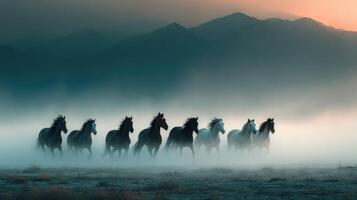 Horses galloping through misty landscape at dawn near mountains photo