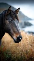 Horse standing in coastal grassland near cliffs during overcast weather with ocean background photo