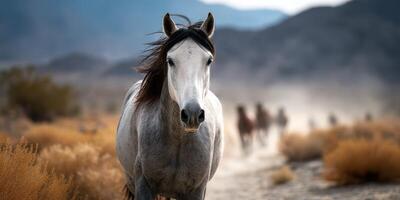 Wild horses roam freely in a stunning landscape with mountains and dust clouds during golden hour in the American West photo