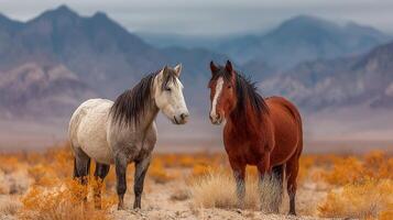 Wild horses in a desert landscape during twilight with mountains in the background photo