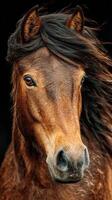 Majestic horse with flowing mane showcasing natural beauty in a close-up portrait against a dark background photo