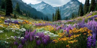 Colorful wildflower meadow in a mountainous landscape during a clear day in spring photo
