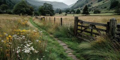 Serene walking path through fields with wildflowers in a valley on a cloudy day photo