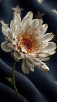 Floral arrangement featuring a white and gold chrysanthemum against a dark blue background with star patterns photo