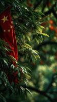 Chinese flag hanging amidst green leaves in a serene outdoor setting during daytime photo