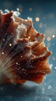 Detailed close-up of a scallop shell surrounded by bubbles, highlighting intricate textures and colors under soft lighting photo