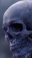 Detailed close-up of a human skull showcasing intricate bone structure and texture in a dark background photo