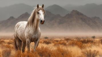 Majestic white horse stands in a vast desert landscape against a backdrop of distant mountains and hazy sky photo