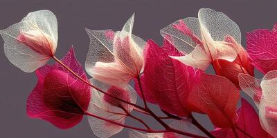 Bougainvillea branches showcase delicate red and white leaves against a neutral background photo