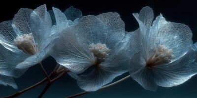 Delicate translucent flowers illuminated with soft light, showcasing intricate textures and details in a serene dark backdrop photo