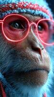 Monkey wearing neon glasses with a textured blue fur coat and a colorful headband under studio lighting photo