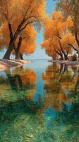 Lush autumn trees reflect in tranquil water near a serene lake on a sunny day photo