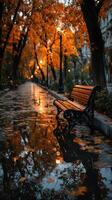 Autumn park pathway with a wooden bench surrounded by vibrant orange leaves after rain photo