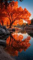 Stunning autumn tree reflecting in calm water at sunset in tranquil nature setting photo